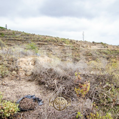 TERRENO for sale in